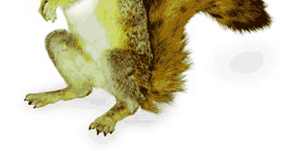 Squirrel