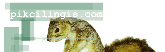 Pikcilingis.com